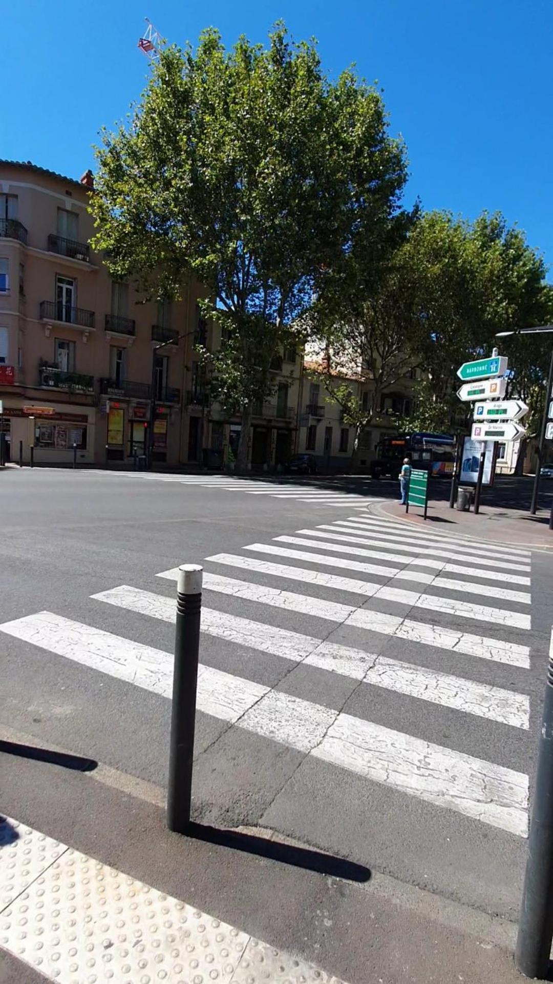Sejour Perpignan Avec Petit-Dejeuner A La Demande Et Piscine A 20 Minutes De L'Espagne A Le Palace Climatise Exterior photo